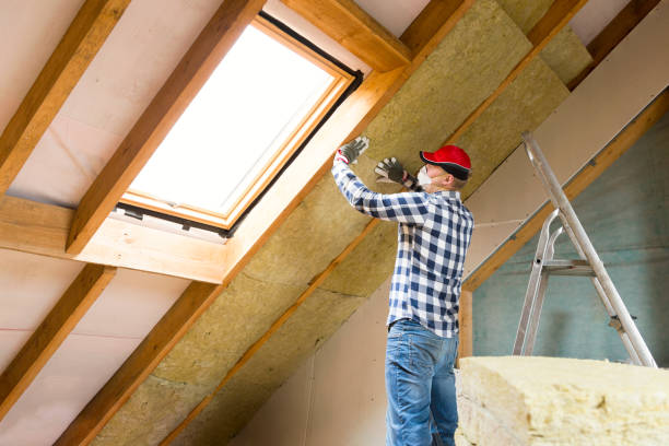 Types of Insulation We Offer in Quincy, CA